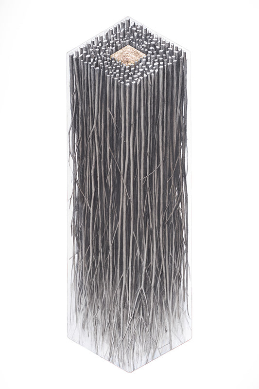 Obra Ivan Rickenmann